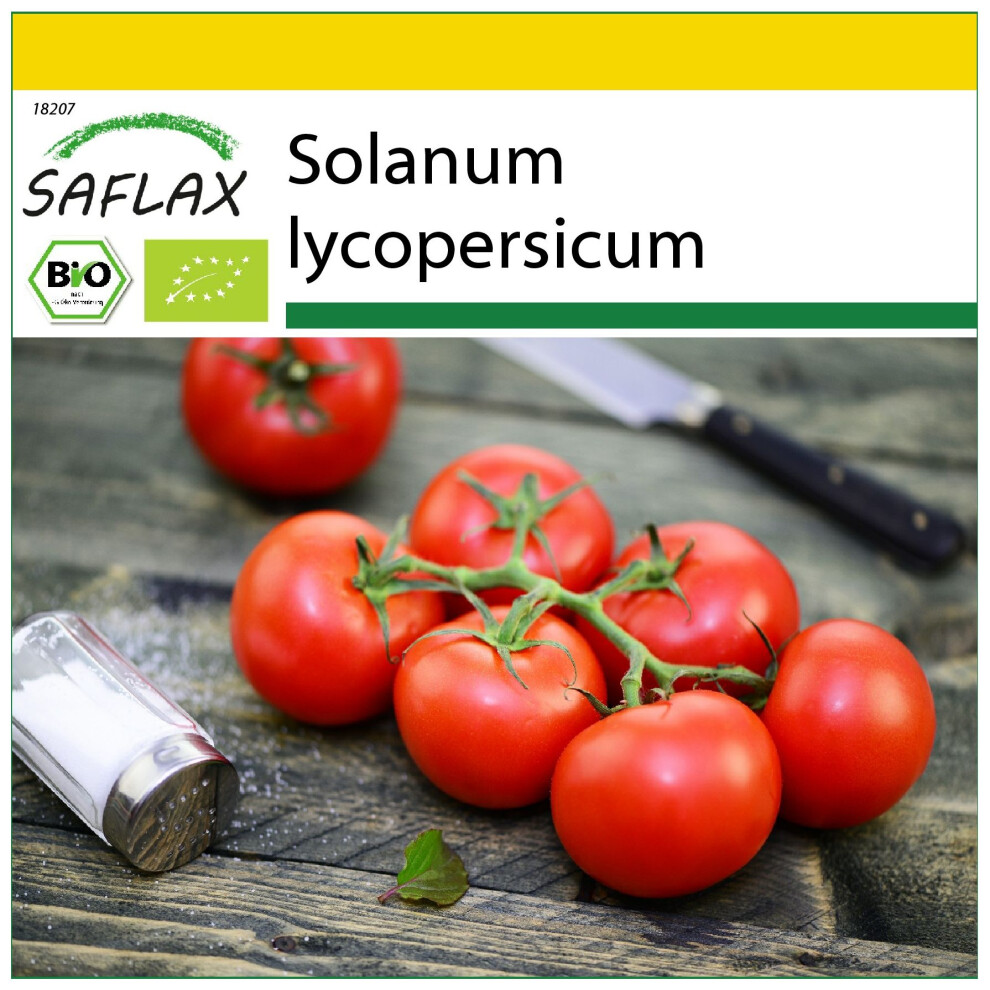 SAFLAX - Ensemble de culture - BIO - Tomate - Matina - 10 graines - Avec mini serre, substrat de culture et 2 pots - Solanum lycopersicum