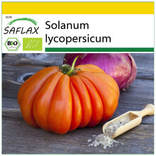 SAFLAX Insieme di coltivazione - BIO - Pomodoro - Cuor di bue - 10 semi - Solanum