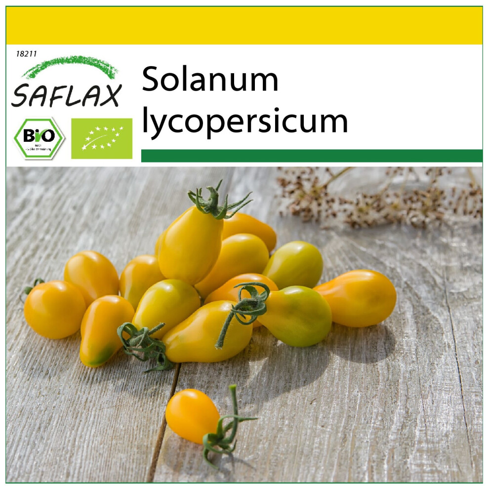 SAFLAX - Ensemble de culture - BIO - Tomate - Yellow submarine - 10 graines - Avec mini serre, substrat de culture et 2 pots - Solanum lycopersicum