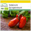 SAFLAX Anzucht Set - Tomate – Marzano - Solanum - 15 Samen 1