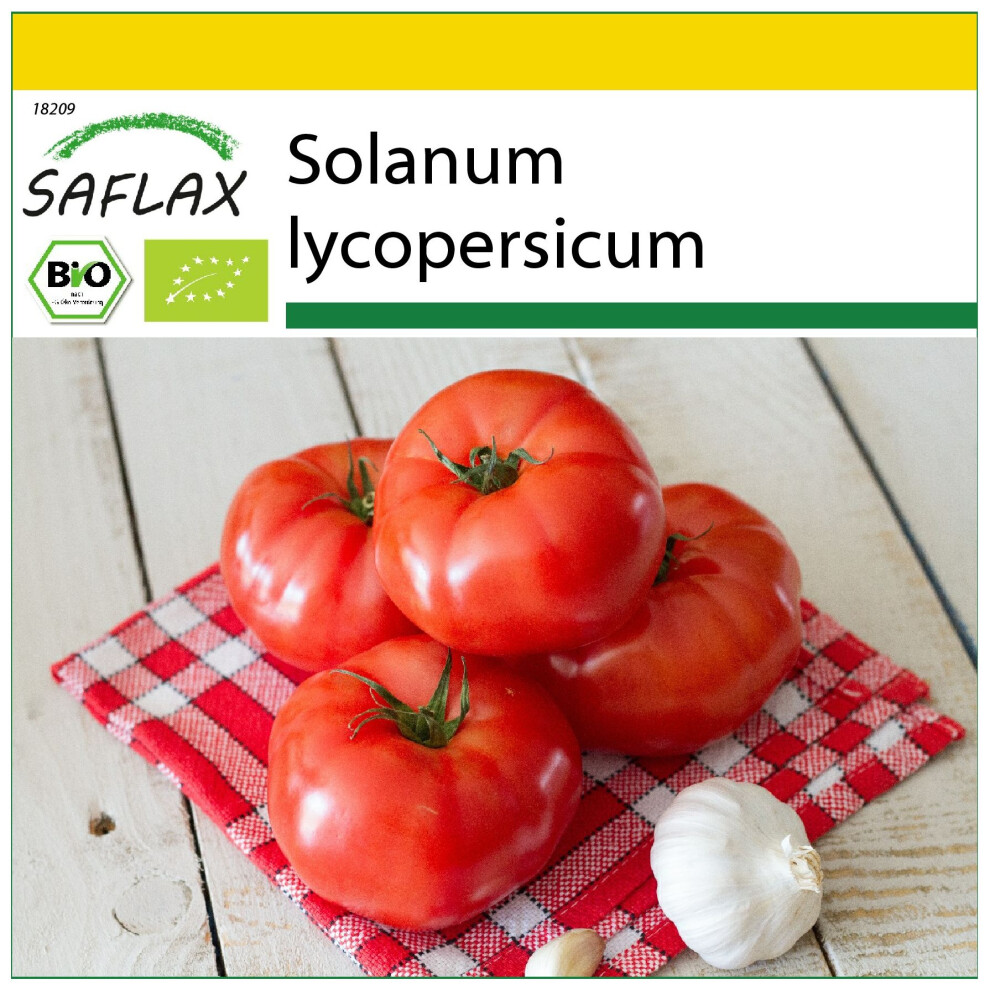 SAFLAX - Ensemble de culture - BIO - Tomate - Saint-Pierre - 15 graines - Avec mini serre, substrat de culture et 2 pots - Solanum lycopersicum