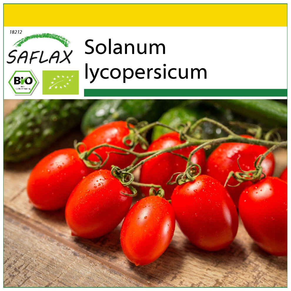 SAFLAX - Ensemble de culture - BIO - Tomate - Roma - 15 graines - Avec mini serre, substrat de culture et 2 pots - Solanum lycopersicum