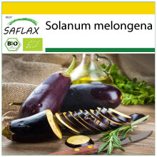 SAFLAX Anzucht Set - Aubergine - Long Purple - Solanum - 20 Samen