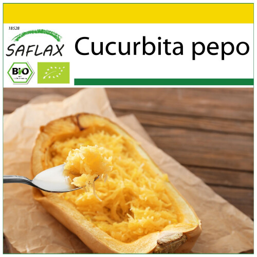SAFLAX Anzucht Set - Kürbis - Spaghetti - Cucurbita - 5 Samen