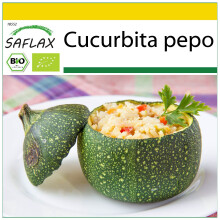 SAFLAX Anzucht Set - Zucchini - Tondo di Nizza - Cucurbita - 5 Samen