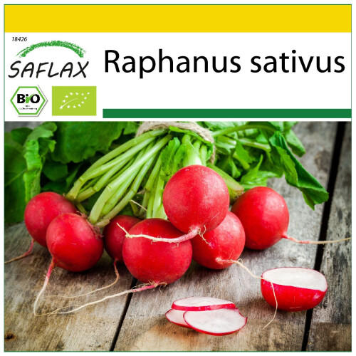SAFLAX Anzucht Set - Radieschen - Cherry Bell - Raphanus - 100 Samen