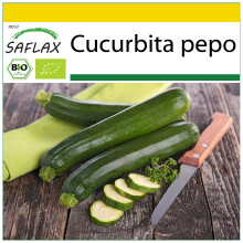 SAFLAX Insieme di coltivazione - BIO - Zucchina - Nero di Milano - 6 semi - Cucurbita