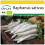 SAFLAX Anzucht Set - Rettich – Daikon - Raphanus - 100 Samen 1