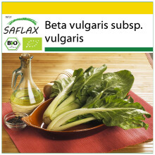 SAFLAX Anzucht Set - Schweizer Mangold - Beta - 150 Samen