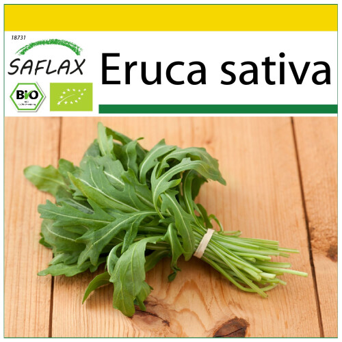 SAFLAX Anzucht Set - Ruccola - Eruca - 3000 Samen