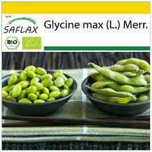 SAFLAX Anzucht Set - Edamame - Glycine - 8 Samen
