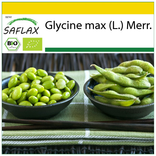 SAFLAX Anzucht Set - Edamame - Glycine - 8 Samen