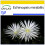 SAFLAX Anzucht Set - Seeigelkaktus - Echinopsis - 40 Samen 1