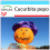 SAFLAX Geschenk Set - Laternenkürbis - Cucurbita - 10 Samen 1