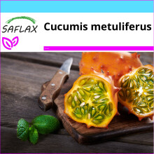 SAFLAX Geschenk Set - Kiwano Horngurka - Cucumis - 10 Samen