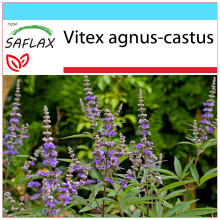 SAFLAX Geschenk Set - Mönchspfeffer - Vitex - 30 Samen