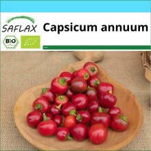 SAFLAX Geschenk Set - Chili – Piccante Cilieglia - Capsicum - 10 Samen