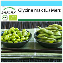 SAFLAX Geschenk Set - Edamame - Glycine - 8 Samen