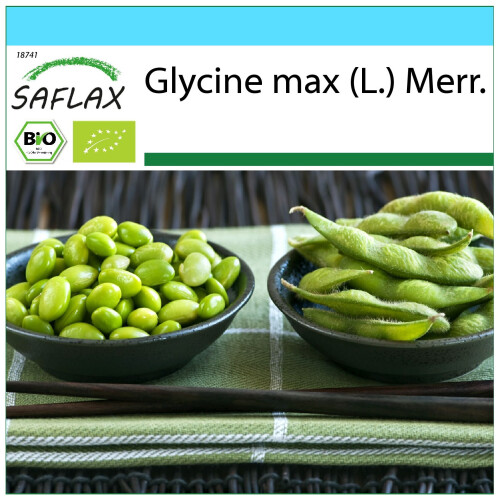 SAFLAX Geschenk Set - Edamame - Glycine - 8 Samen