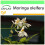 SAFLAX Garden to go - Moringa - Moringa - 10 Samen 1