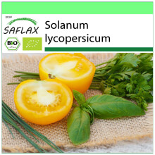 SAFLAX Garden to go - BIO - Pomodoro - Golden Queen - 15 semi - Solanum