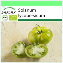 SAFLAX Garden to go - BIO - Pomodoro - Green Zebra - 10 semi - Solanum