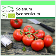 SAFLAX Garden to go - BIO - Pomodoro - Matina - 10 semi - Solanum