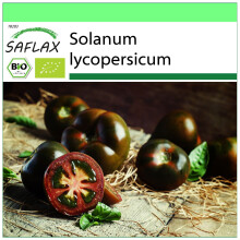SAFLAX Garden to go - BIO - Pomodoro - Black cherry - 10 semi - Solanum