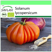 SAFLAX Garden to go - BIO - Pomodoro - Cuor di bue - 10 semi - Solanum
