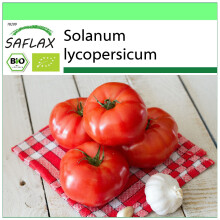 SAFLAX Garden to go - BIO - Pomodoro - Saint Pierre - 15 semi - Solanum
