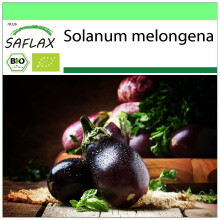 SAFLAX Garden to go - BIO - Melanzana - Black Beauty - 25 semi - Solanum