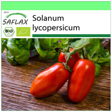 SAFLAX Garden to go - BIO - Pomodoro - San Marzano - 15 semi - Solanum