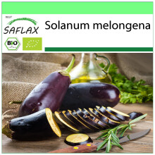 SAFLAX Garden to go - BIO - Melanzana - Long Purple - 20 semi - Solanum