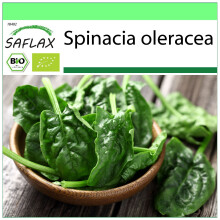 SAFLAX Garden to go - BIO - Spinaci - Matador - 300 semi - Spinacia