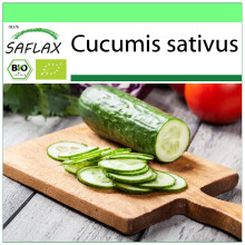 SAFLAX Garden to go - BIO - Cetriolo - Marketmore - 20 semi - Cucumis