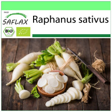 SAFLAX Garden to go - BIO - Ravanello - Candela di ghiaccio - 100 semi - Raphanus