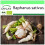 SAFLAX Garden to go - Radieschen - Eiszapfen - Raphanus - 100 Samen 1