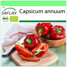 SAFLAX Garden to go - BIO - Peperone - California Wonder - Red - 20 semi - Capsicum