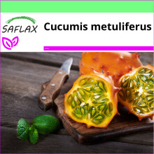 SAFLAX Garden to go - Sottaceto di corno di Kiwano - 10 semi - Cucumis