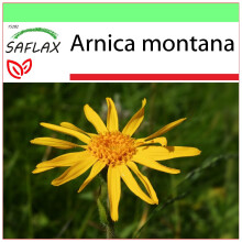 SAFLAX Garden to go - Árnica - 40 semillas - Arnica