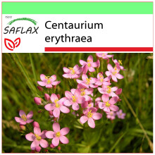 SAFLAX Garden to go - Tausendgüldenkraut - Centaurium - 250 Samen
