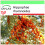 SAFLAX Garden to go - Sanddorn - Hippophae - 40 Samen 1