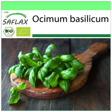 SAFLAX - Garden to go - BIO - Basilic - Génois - 800 graines - Avec pot, couvercle climatique et substrat de culture - Ocimum basilicum