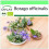 SAFLAX Garden to go - Borretsch - Borago - 40 Samen 1