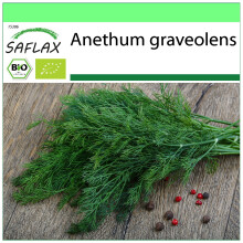 SAFLAX Garden to go - BIO - Aneto - 700 semi - Anethum