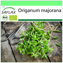 SAFLAX - Garden to go - BIO - Marjolaine - 700 graines - Avec pot, couvercle climatique et substrat de culture - Origanum majorana