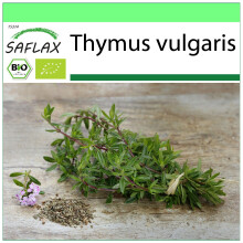 SAFLAX - Garden to go - BIO - Thym - 800 graines - Avec pot, couvercle climatique et substrat de culture - Thymus vulgaris