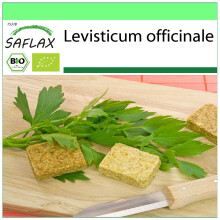 SAFLAX - Garden to go - BIO - Livèche - 100 graines - Avec pot, couvercle climatique et substrat de culture - Levisticum officinale