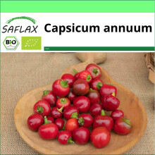 SAFLAX Garden to go - Peperoncino - Piccante Cilieglia - 10 semi - Capsicum