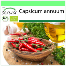 SAFLAX - Garden to go - Organic - Hot Chili Pepper – De Cayenne Long Slim - 10 seeds - With pot, climate lid and growing substrate - Capsicum annuum